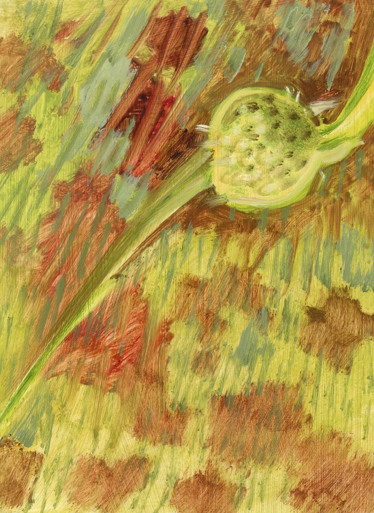 Painting of a green seed-head against a red and green ground