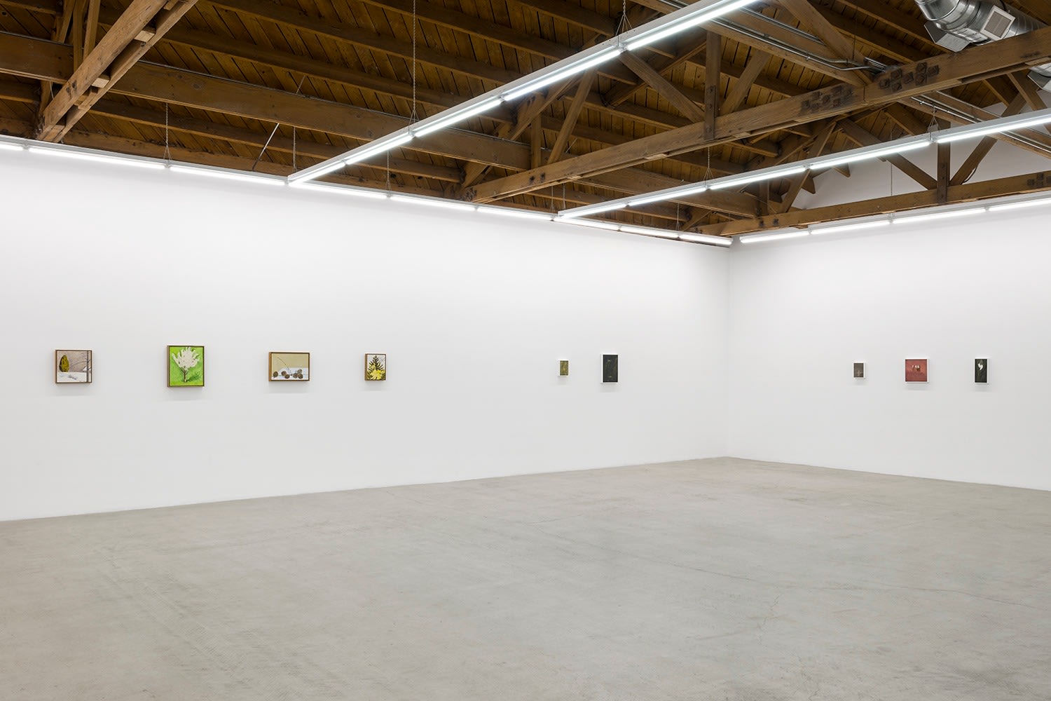 Lois Dodd | Ellen Siebers