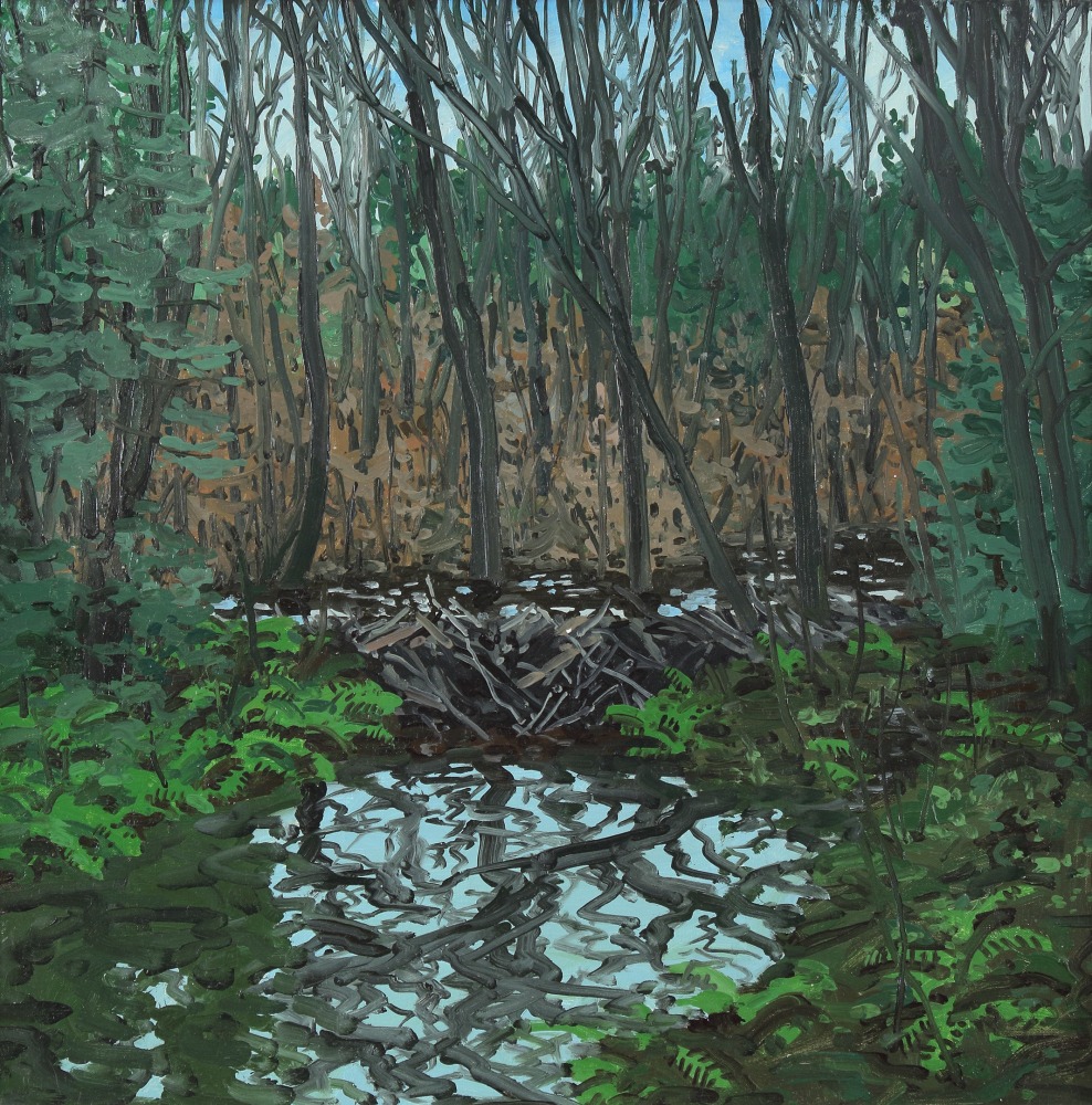 Beaver Pond, oil on canvas, 24 x 24 inches