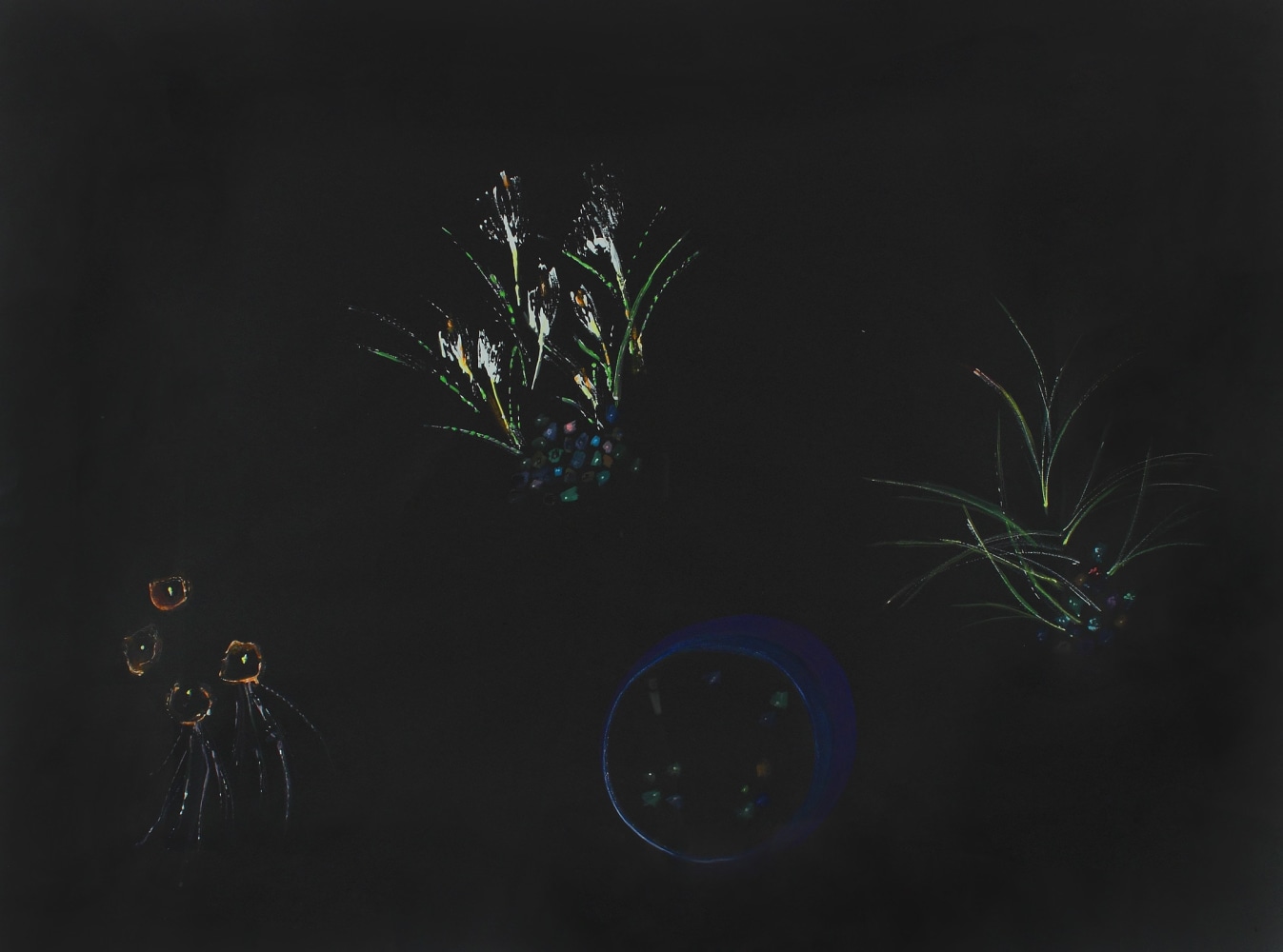 Drawing of three plant forms and a round object arranged on a black ground