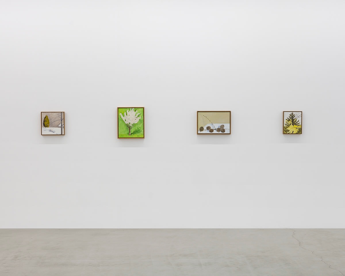 Lois Dodd | Ellen Siebers