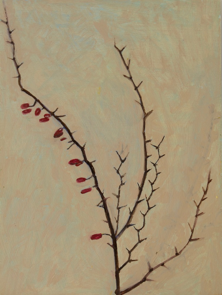 Barberry Twig, 2022, oil on wood panel, 16 x 12 inches