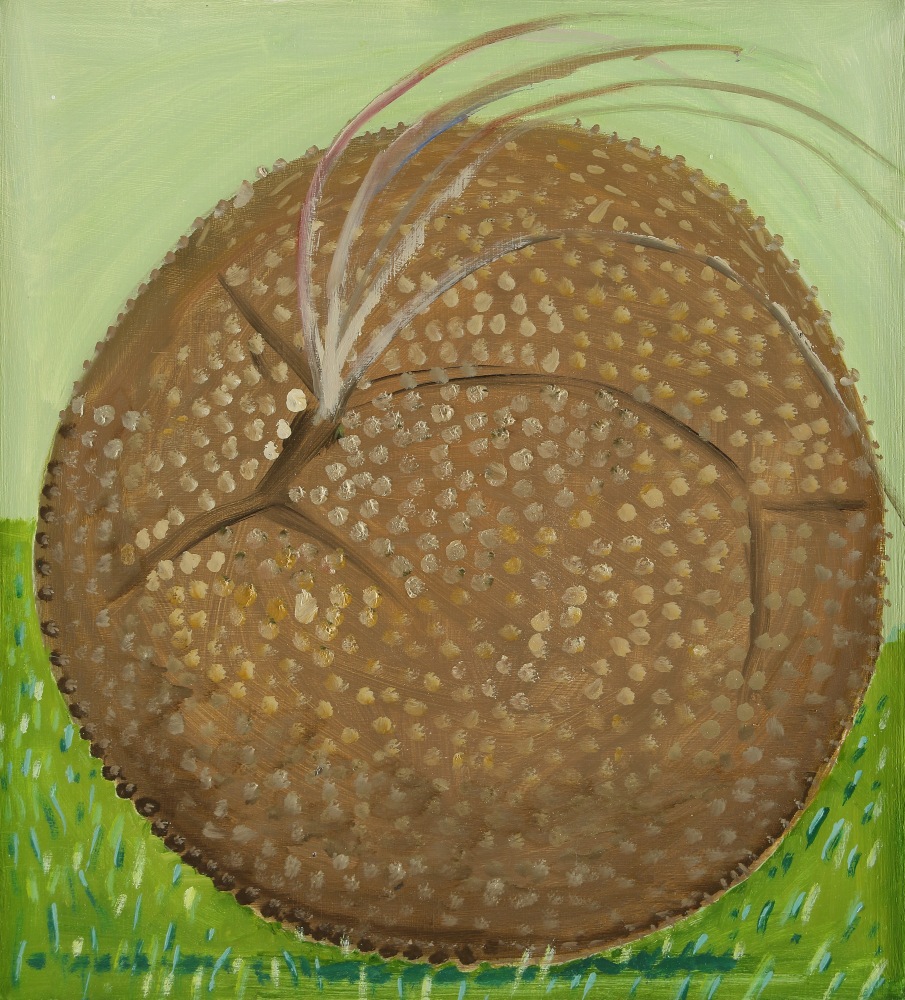 Sycamore Seed Head, 2022, oil on Masonite, 11 x 10 inches