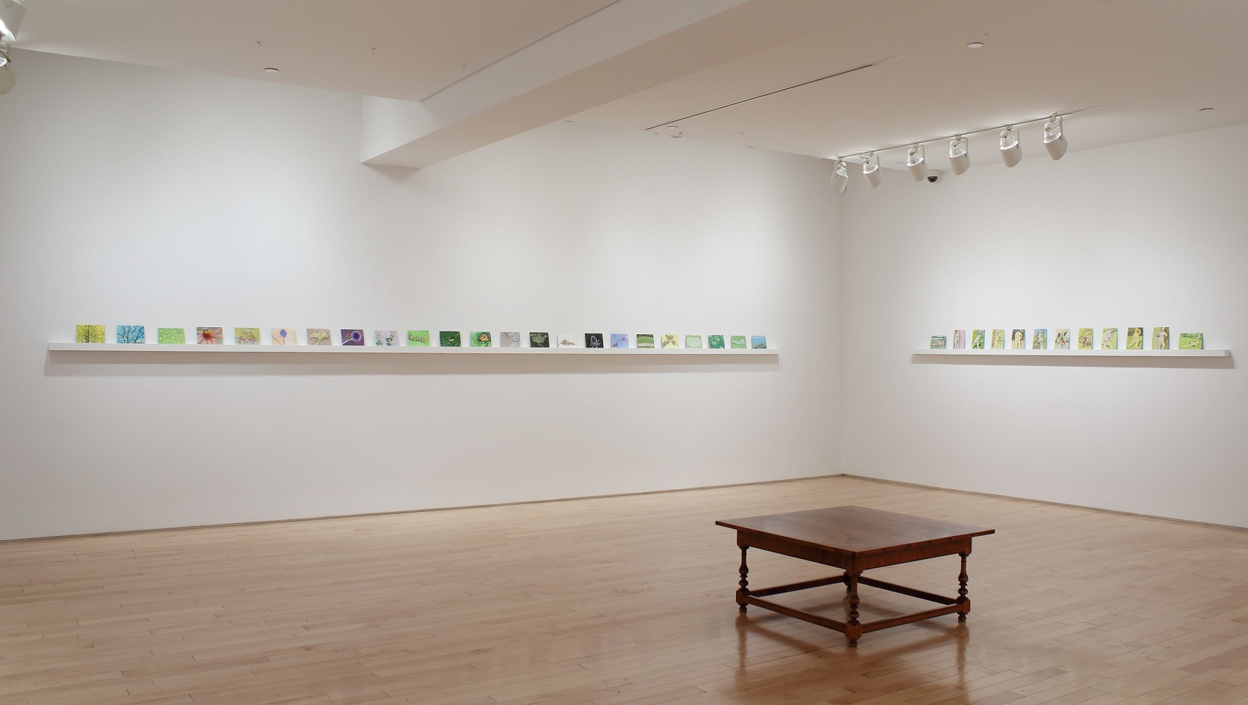 Photograph showing a corner view of an exhibition space, each wall holding dozens of small paintings on a long shelf