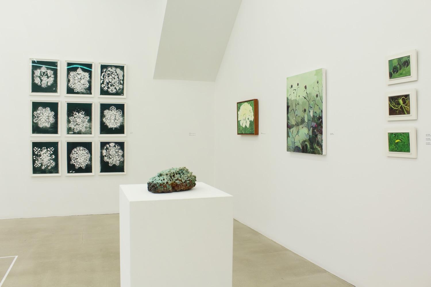 Photograph of a corner view of an exhibition showing a range of paintings, drawings, sculptures and prints in a white gallery space
