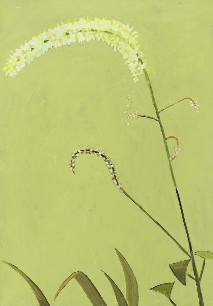 Black Cohosh in Bloom, 2019, oil on Masonite, 20 x 14 inches