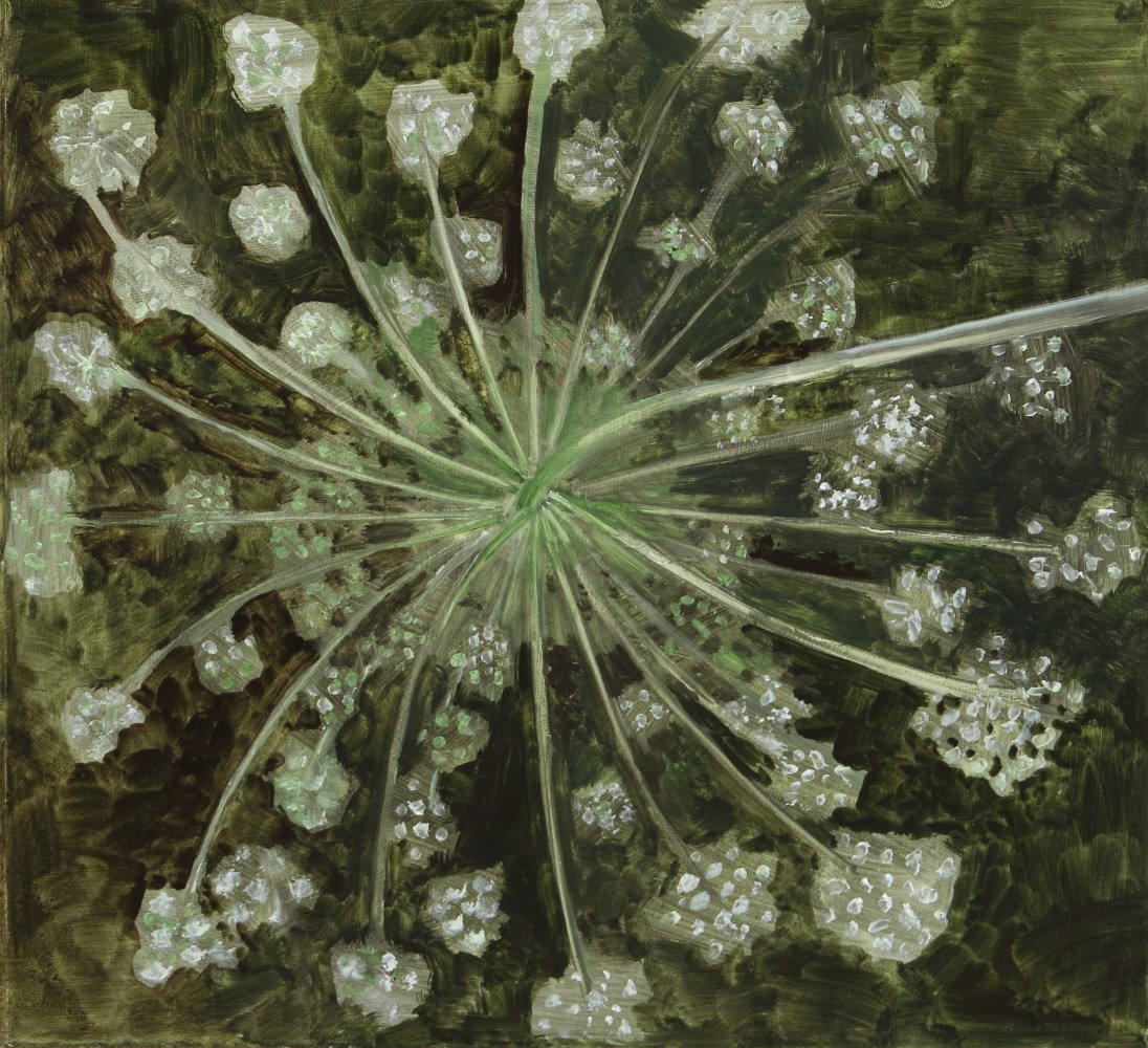 Painting of a flowering seed head on a dark green ground