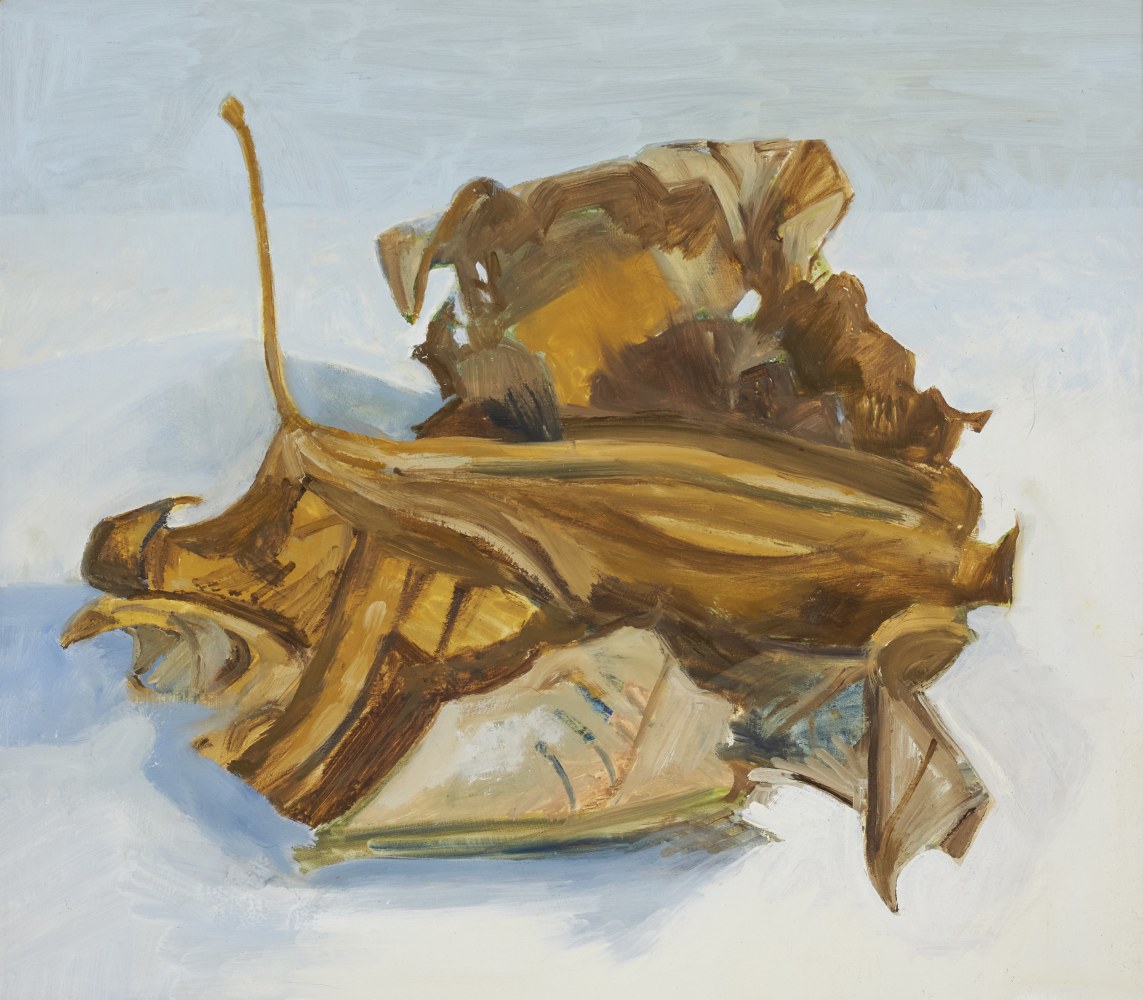 Dried Maple Leaf, 2024 oil on Masonite, 14 x 16 inches