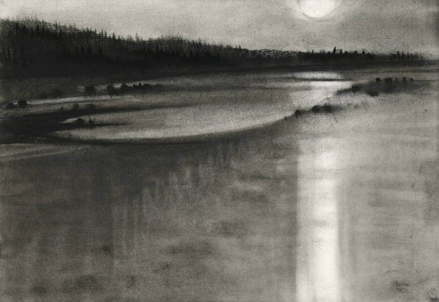Emily Nelligan,&amp;nbsp;16 JUNE 95 (2), 1995 charcoal on paper, 7 1/4 x 10 1/2 inches