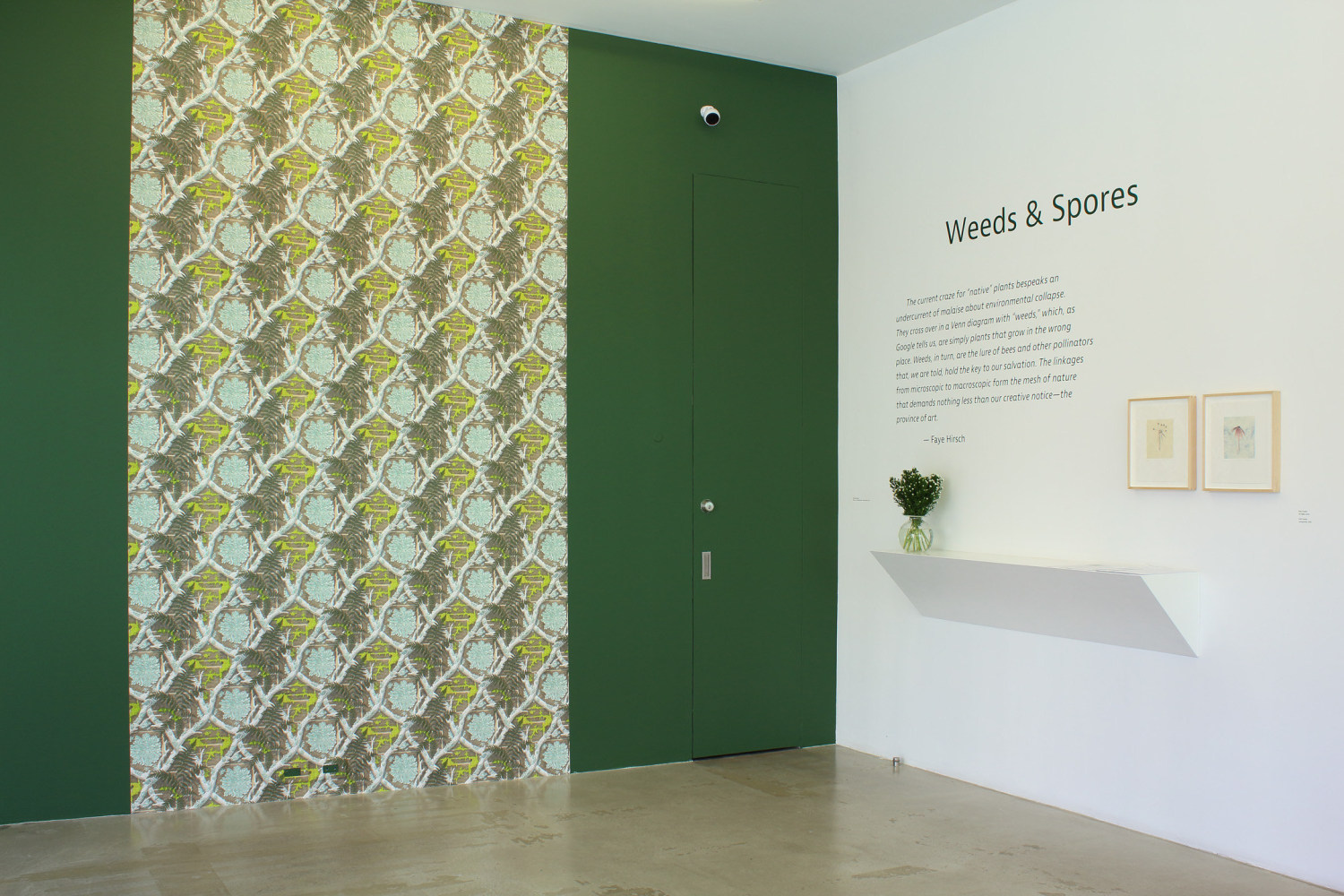 Photograph of a corner view of an exhibition showing one green wall with wallpaper and one white wall with two small framed prints and text introducing the exhibition