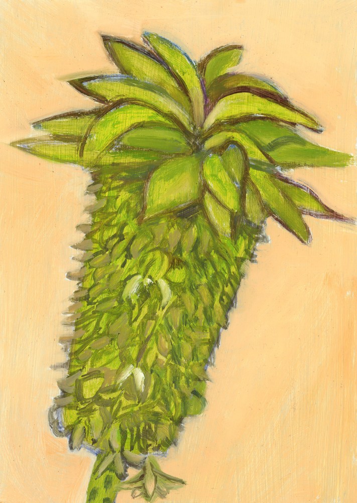 Painting of a green plant on a light orange ground