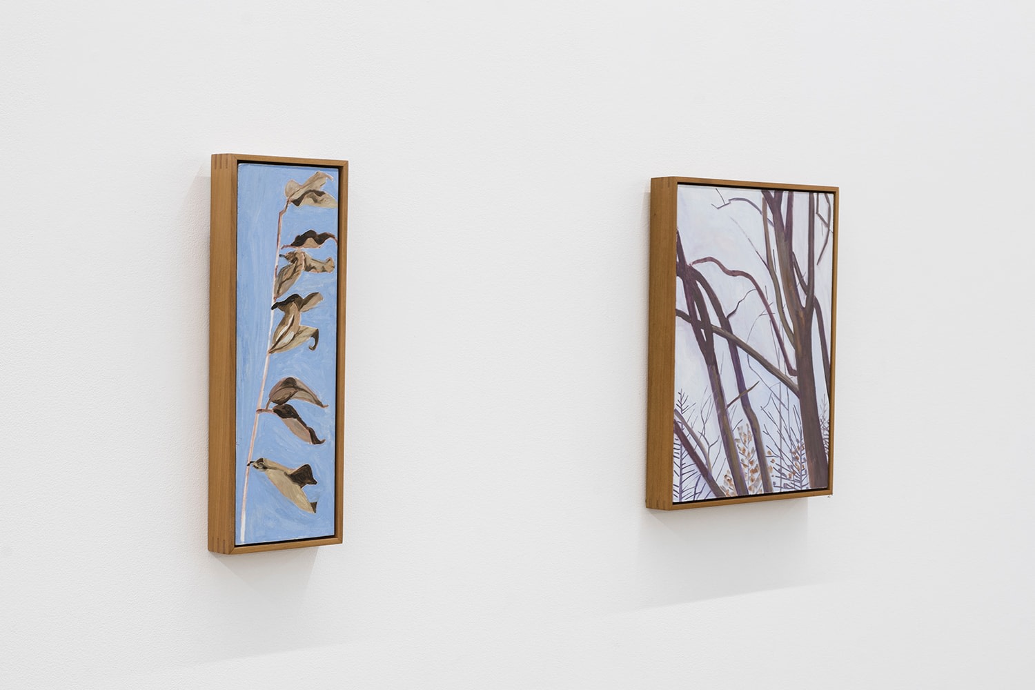 Lois Dodd | Ellen Siebers