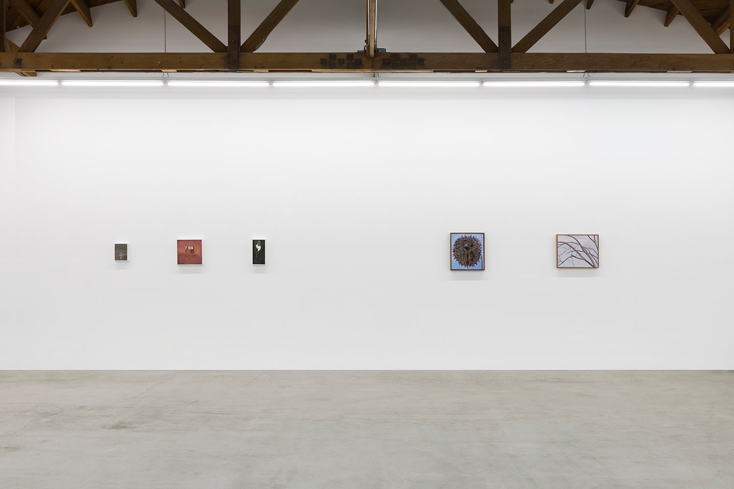 Lois Dodd | Ellen Siebers