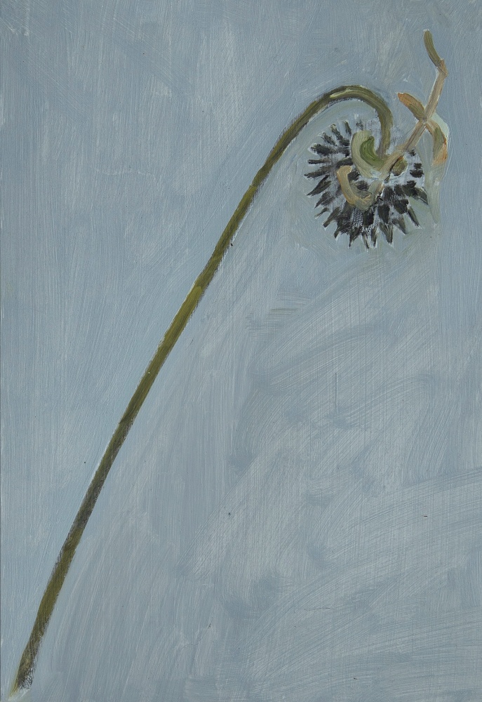 Painting of a dried flower on a grey-blue ground