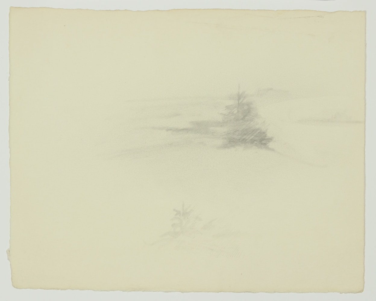 Atmospheric graphite drawing of two trees in a landscape
