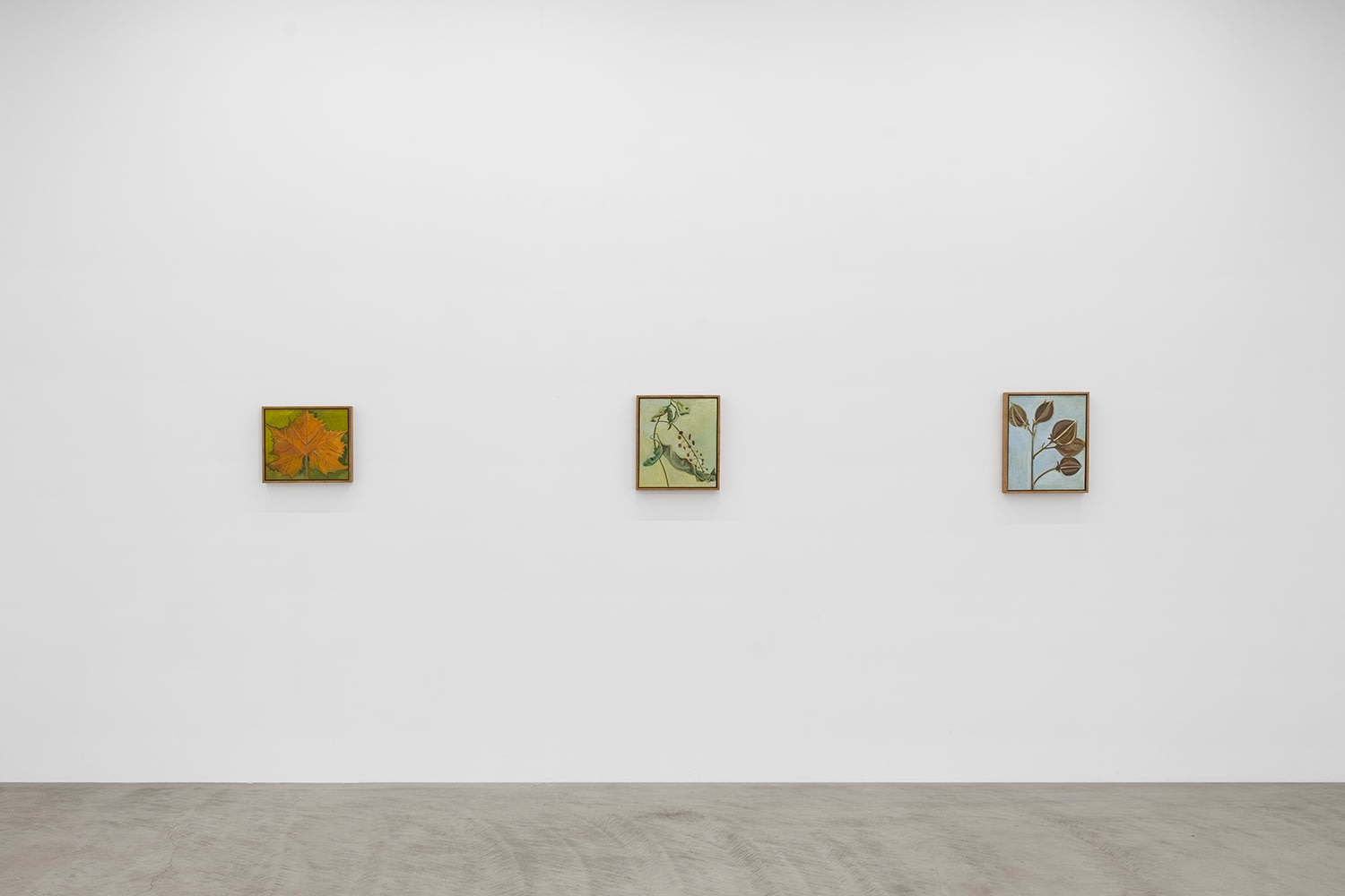 Lois Dodd | Ellen Siebers