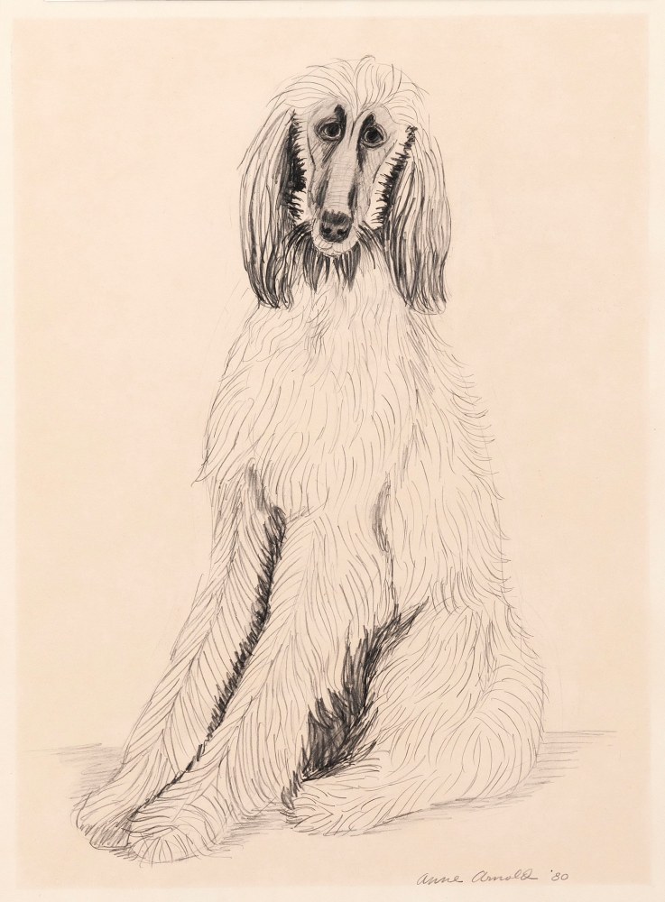 Drawing of a dog sitting upright