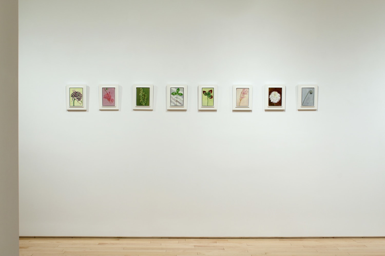 Photograph showing a view of an exhibition space, with a row of eight small paintings hung on a white wall
