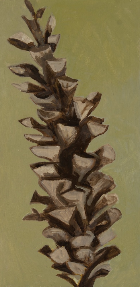 White Pine Cone, 2022, oil on wood panel, 16 x 8 inches