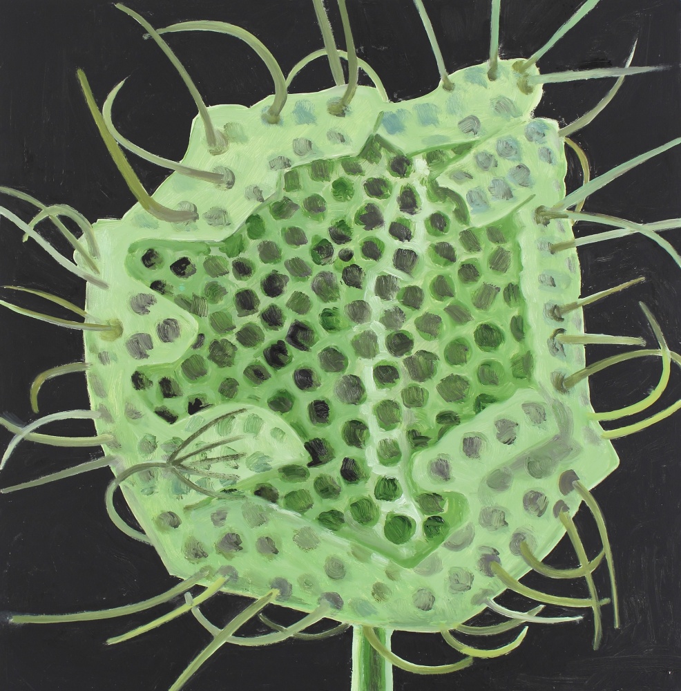 Painting of the head of a light green plant against a black ground