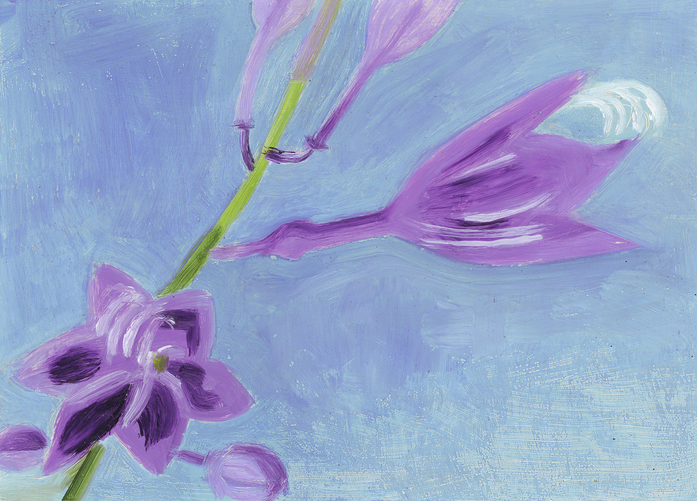 Painting of purple flowers on a green stem, against a blue background