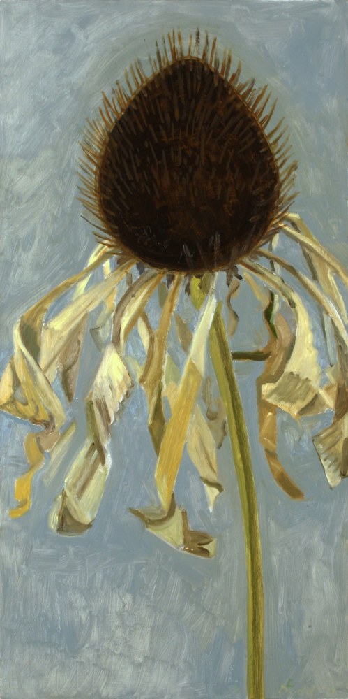 Painting of the head of a dried flower against a blue-grey background