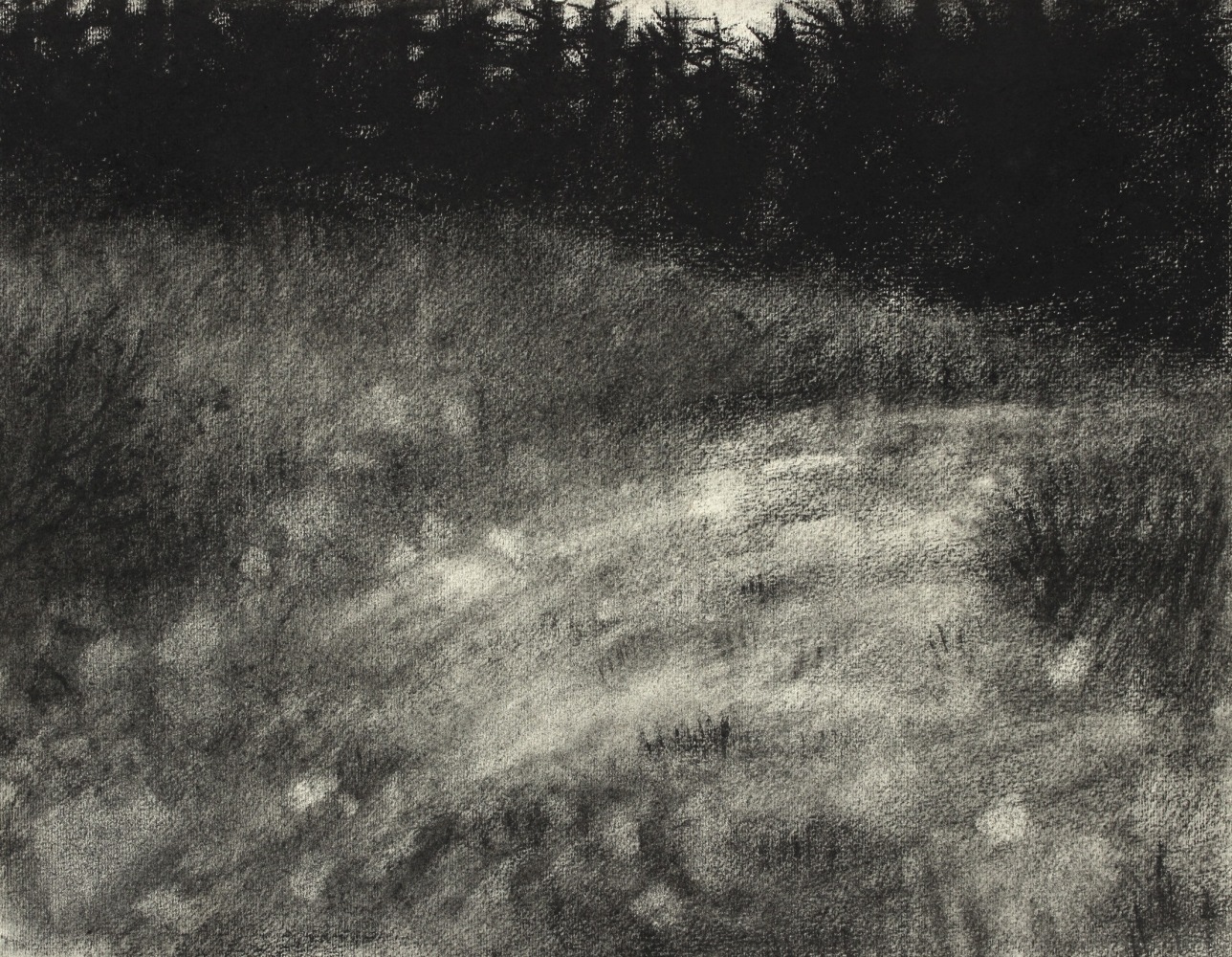 Atmospheric charcoal landscape drawing