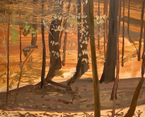 Dark Shadow, 2005, oil on Masonite, 13 1/2 x 16 1/2 inches