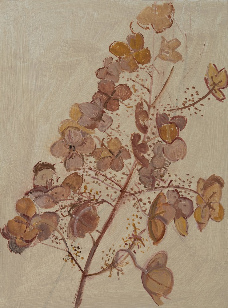 Dried White Hydrangea Flower, 2021, oil on wood panel, 16 x 12 inches