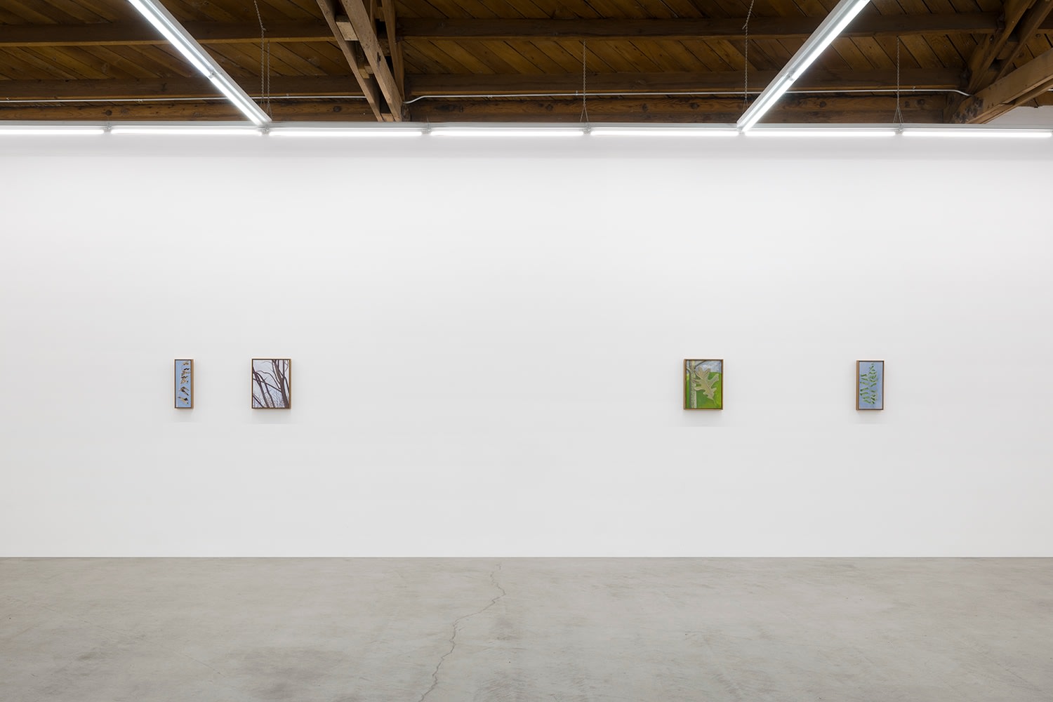 Lois Dodd | Ellen Siebers