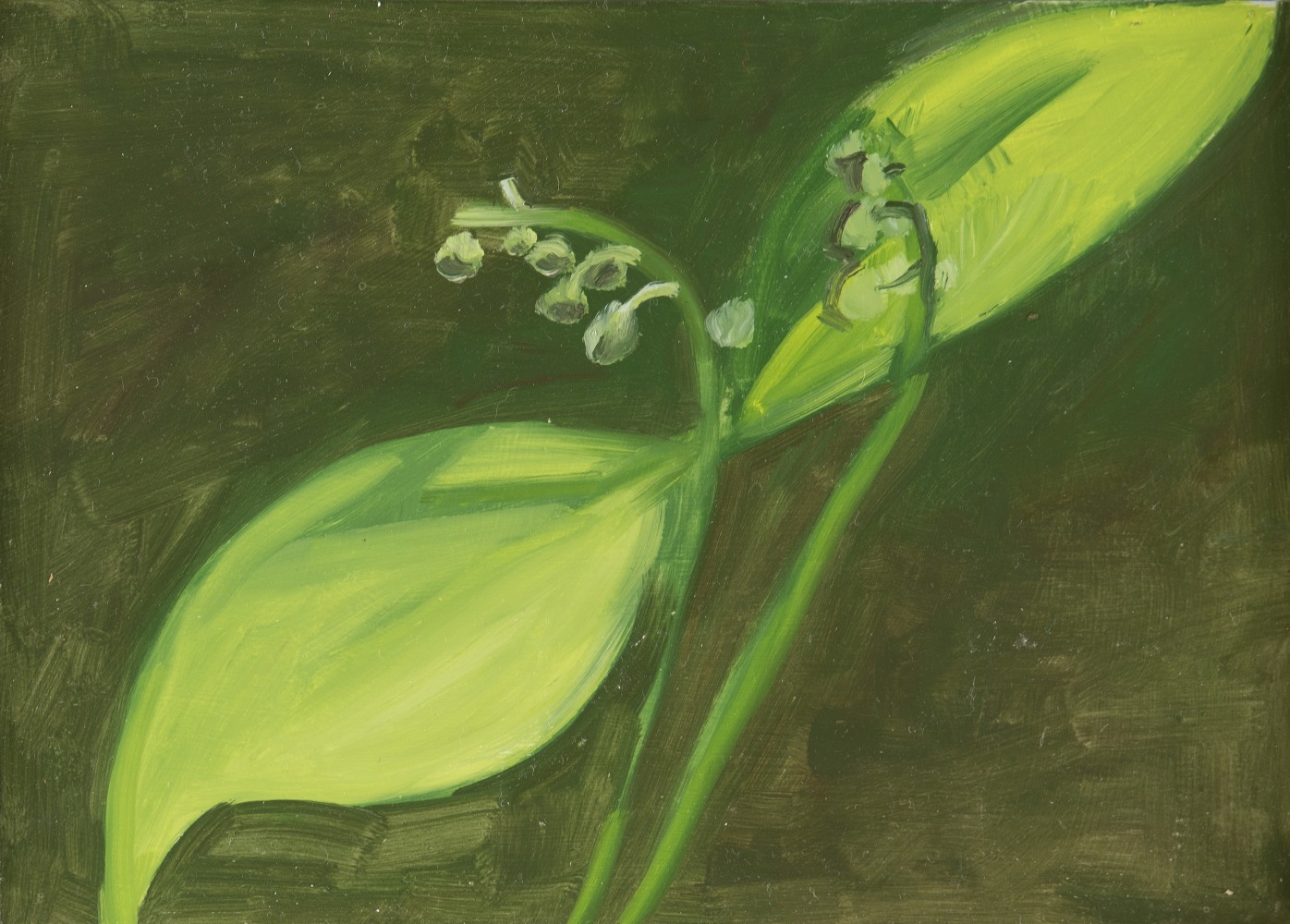 Painting of a plant with tiny white flowers and two large green leaves on a dark brownish-green background