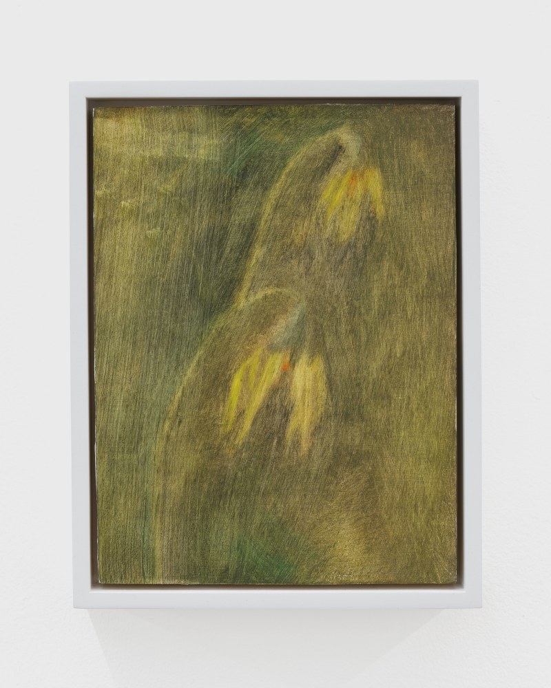 Ellen Siebers, arnica