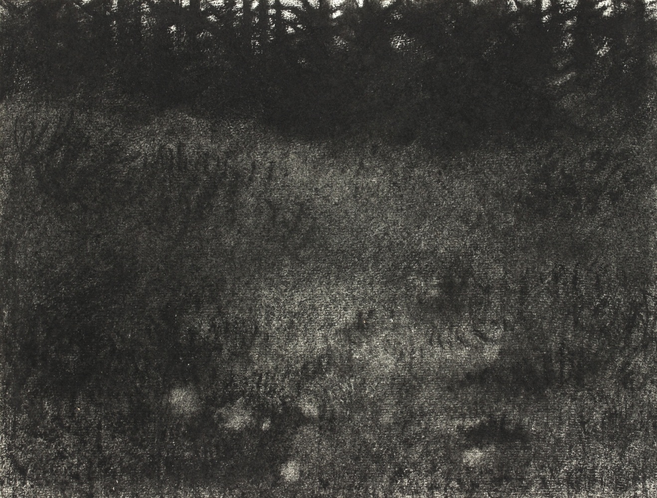 Atmospheric charcoal landscape drawing