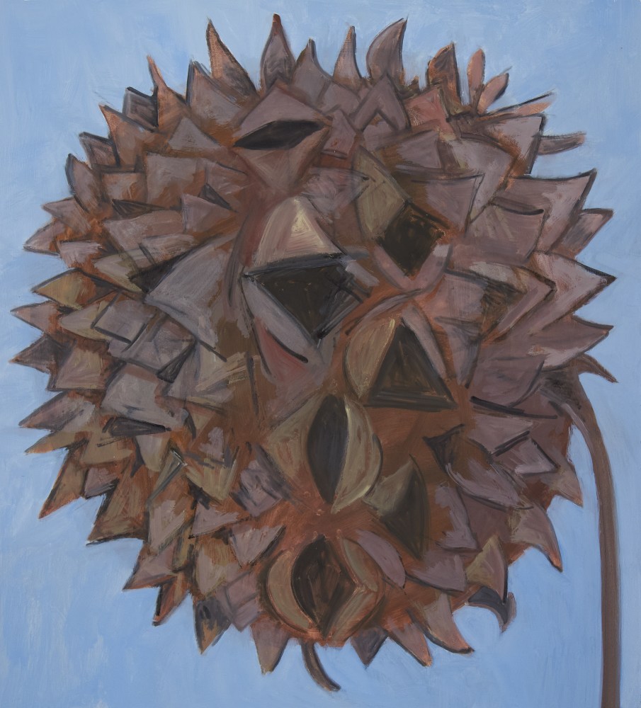 Lois Dodd, Sweet Gum Tree Seed Head, 2024, oil on Masonite, 17 5/8 x 16 inches