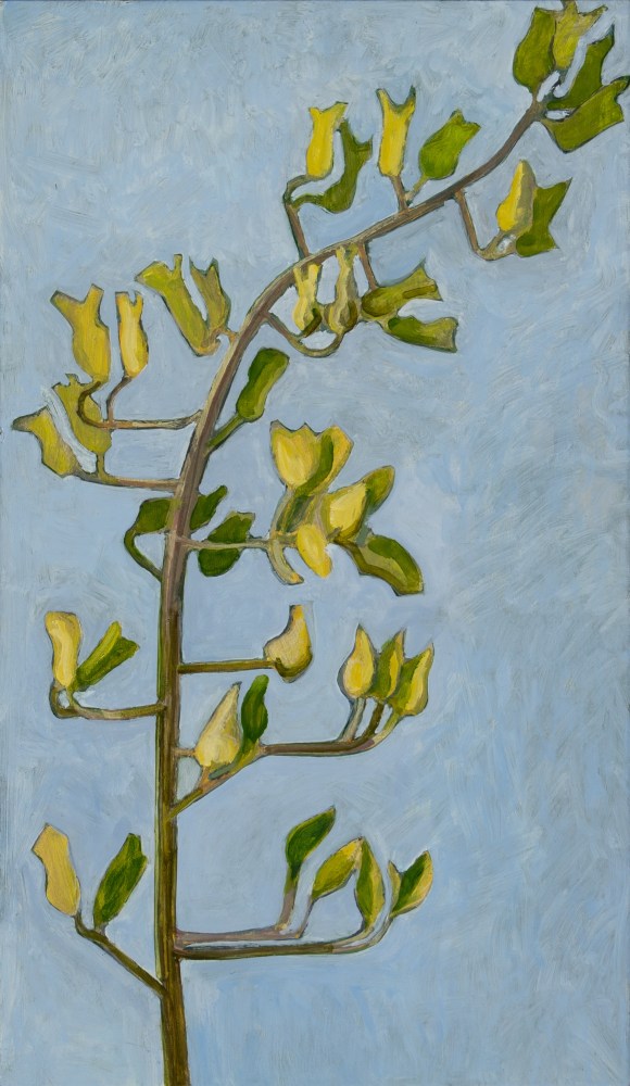 Plant Study, 2021, oil on Masonite, 18 7/8 x 11 inches