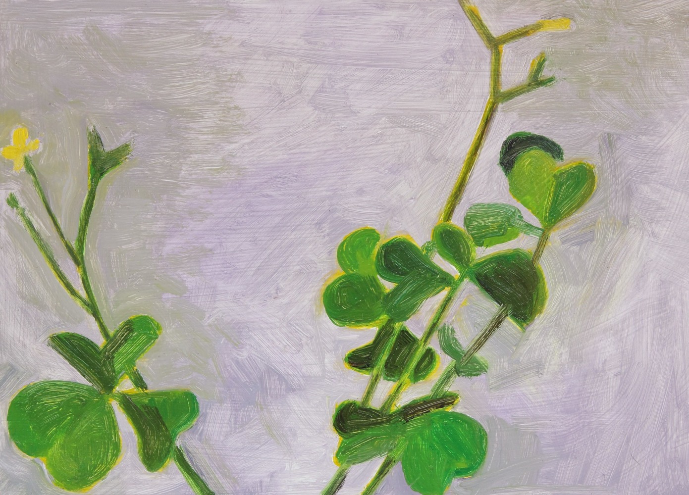 Painting of two yellow flowering plants on a lavender ground