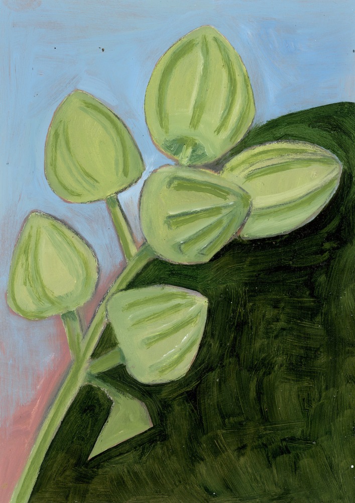 Painting of a branch of green buds against a ground that is half dark green and half blue and pink