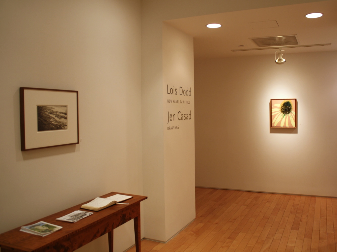 Photograph showing a view of an exhibition space, with a framed drawing on the wall to the left, a framed painting on the wall to the right, and wall text in the center that reads &quot;Lois Dodd: New Panel Paintings,&quot; and &quot;Jen Casad: Drawings&quot;