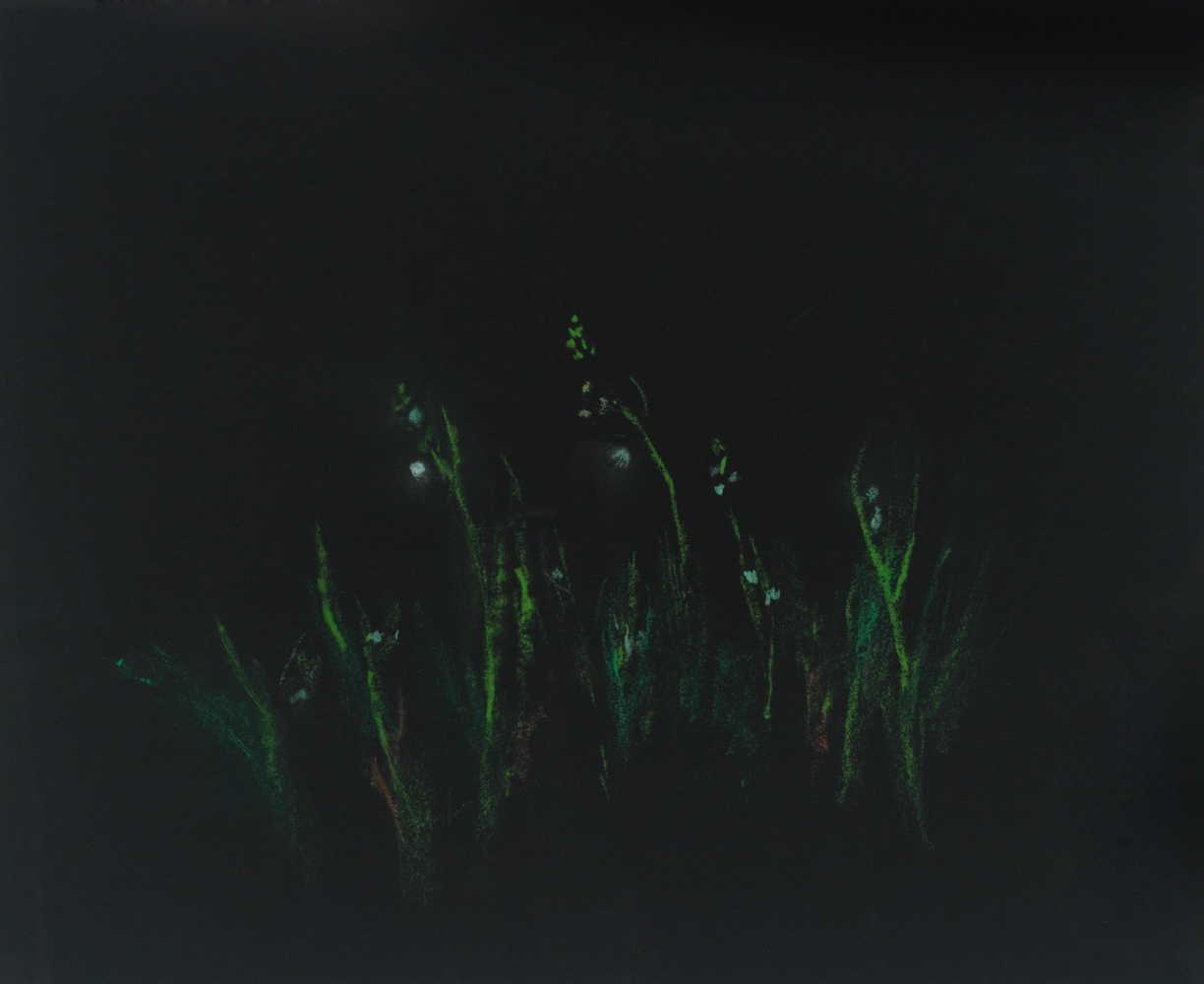 Pastel drawing of soft green plant forms on a black ground