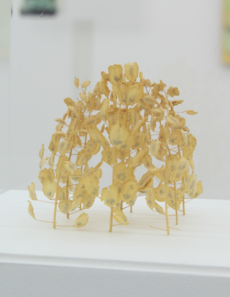 Photo of a small, domed sculpture made out of tiny yellow plants
