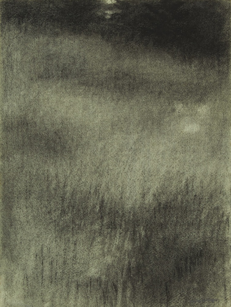 Field I, charcoal on paper, 13 3/8 x 10 inches