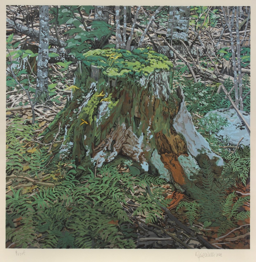 Woodcut of a mossy stump in a forrest, surrounded by ferns and underbrush