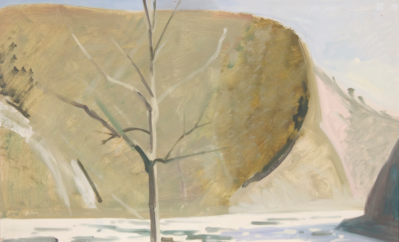 Water Gap Winter, 1979, oil on Masonite, 12 x 20 inches