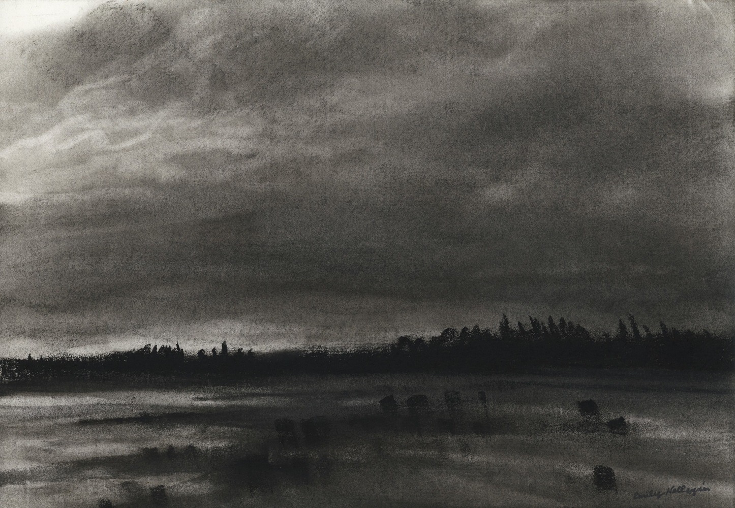 Charcoal landscape drawing of a dark, cloudy sky, a tree-lined shore, and water with dark objects floating in it