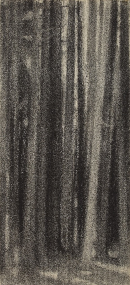 Woods near Preble Cove II, c. 1958, charcoal on paper, 13 1/2 x 6 1/8 inches