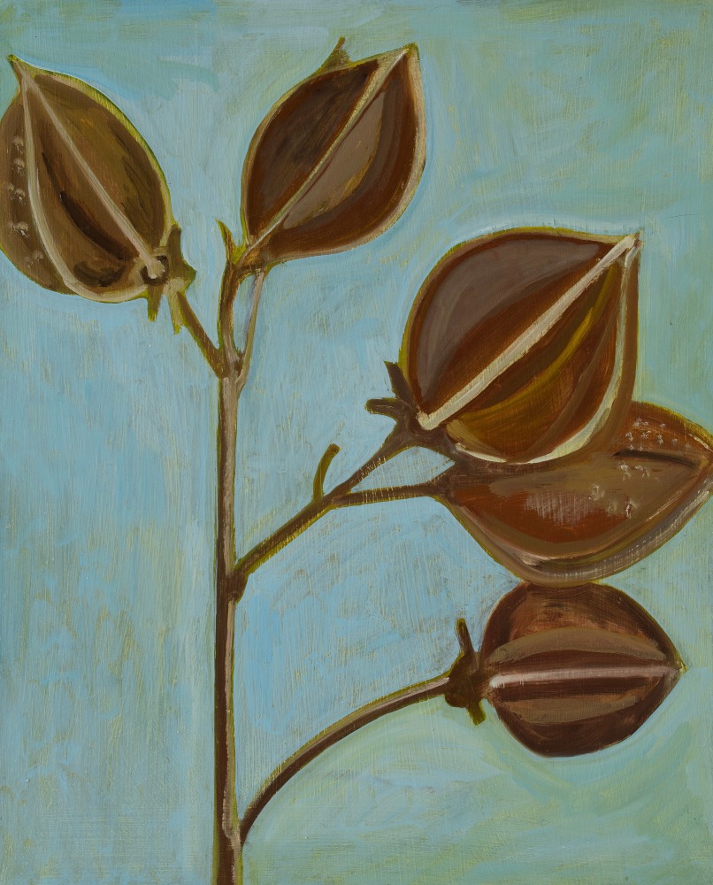 Lois Dodd, Dried Pods, 2022, oil on panel, 16 x 13 inches