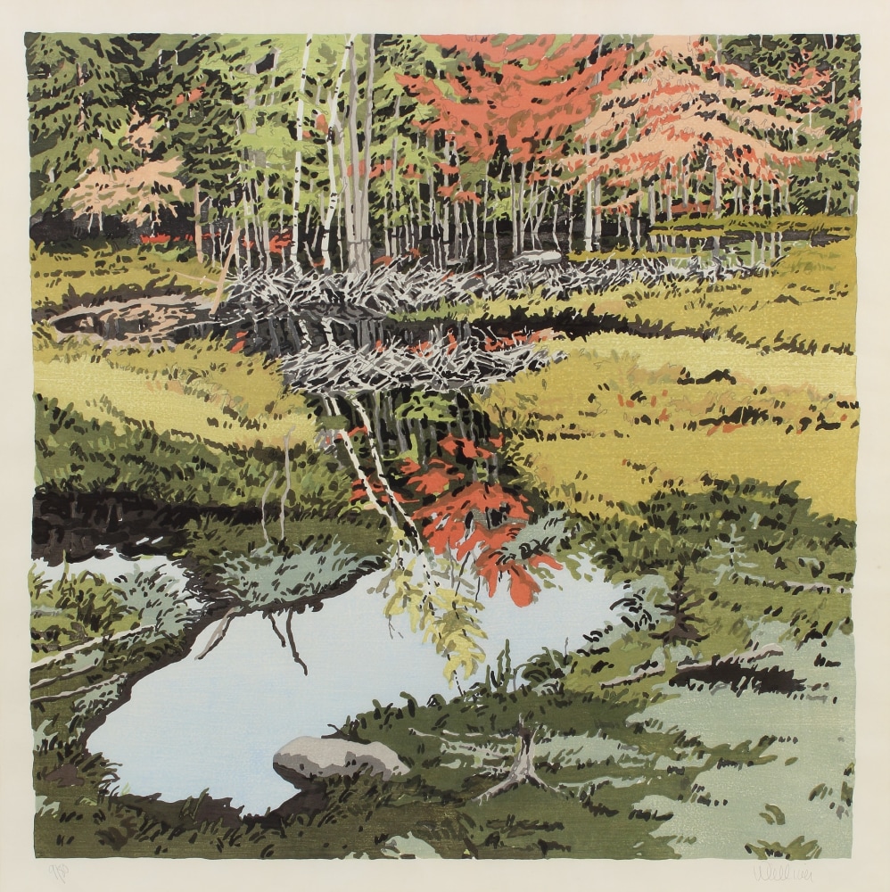 Drawing of two beaver damns in a body of water running through a meadow, with a forest in the background and trees just beginning to turn orange