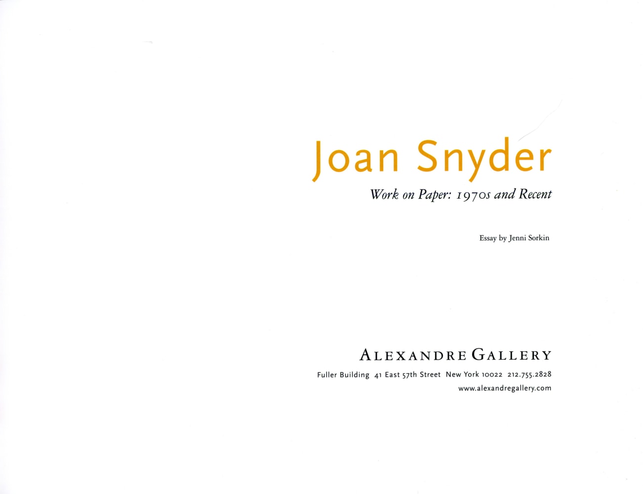Joan Snyder