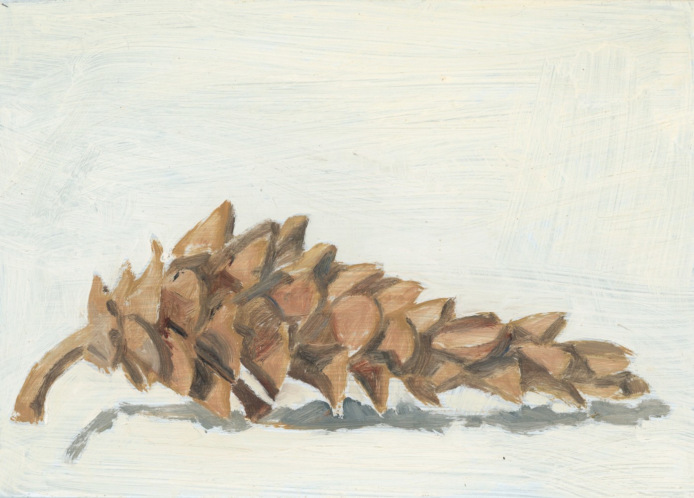 Painting of a brown pine cone on a white ground