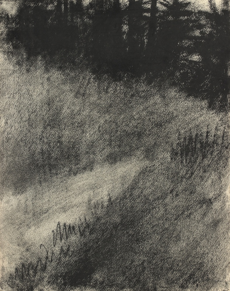 Atmospheric charcoal landscape drawing, showing a path surrounded by grass with dark trees in the background